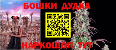 сатива Будённовск