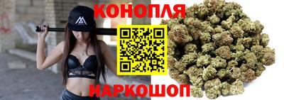 сатива Будённовск