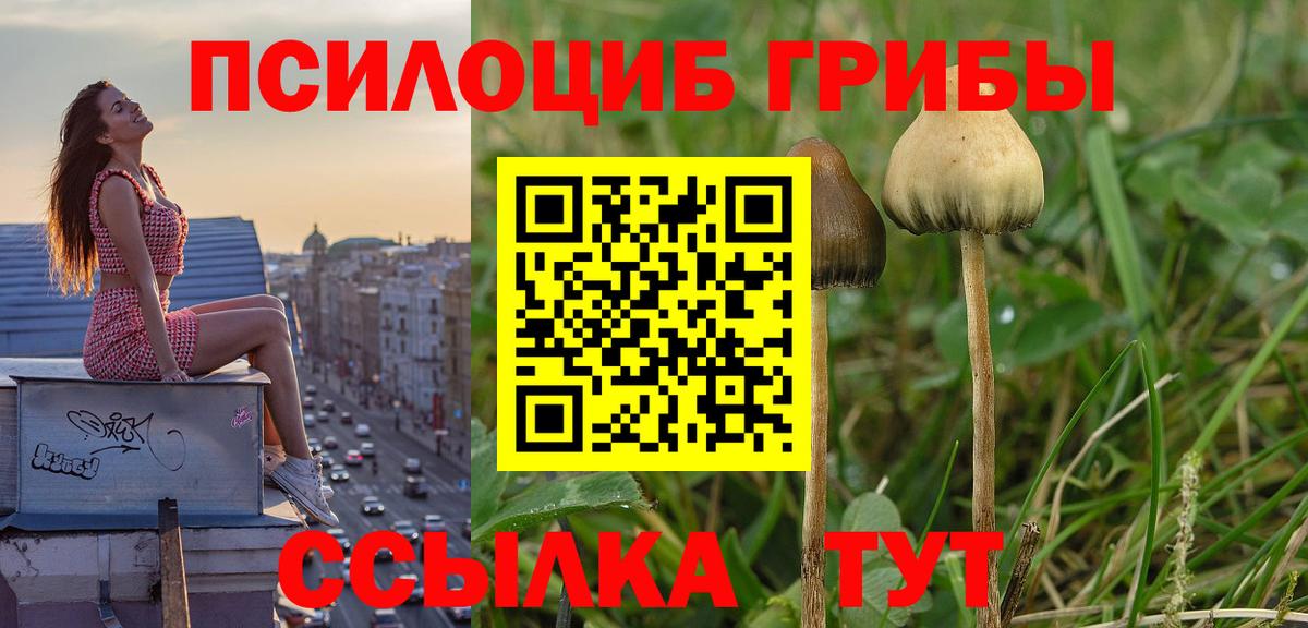 Благовещенск  Галлюциногенные грибы MAGIC MUSHROOMS  Вход с VPN 